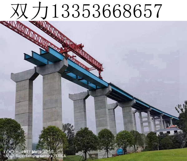天津450吨架桥机